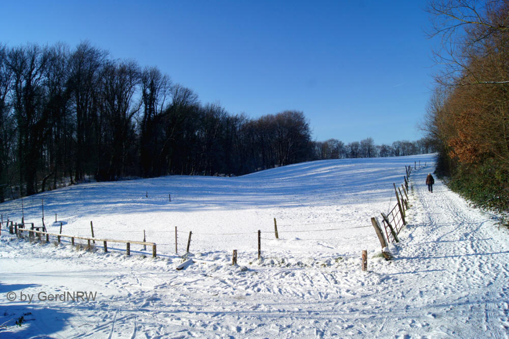 "In Paradise" ("Im Paradies"), Vogelsangbachtal, Heiligenhaus, Germany