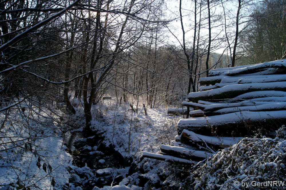 "In Paradise" ("Im Paradies"), Vogelsangbachtal, Heiligenhaus, Germany