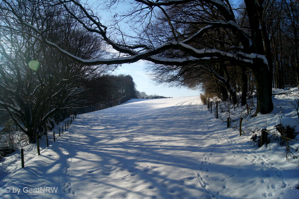 "In Paradise" ("Im Paradies"), Vogelsangbachtal, Heiligenhaus, Germany 